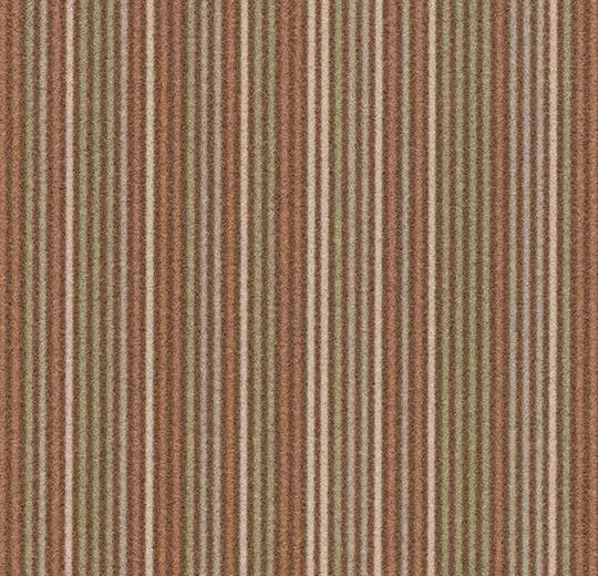 t550010 Complexity straw